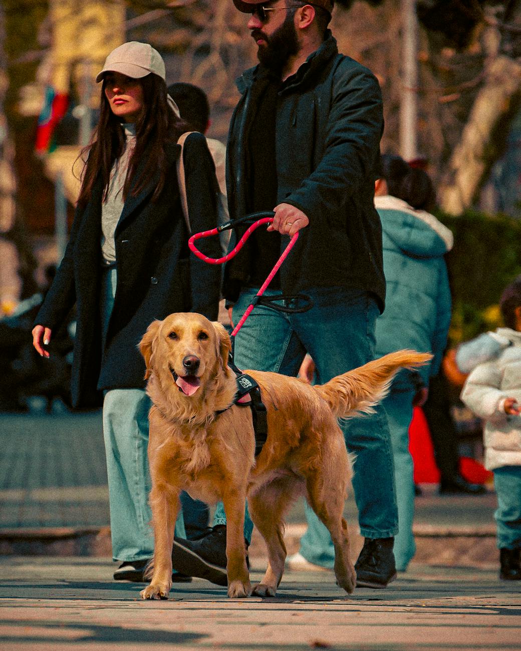 Couple with golden retriever in urban setting