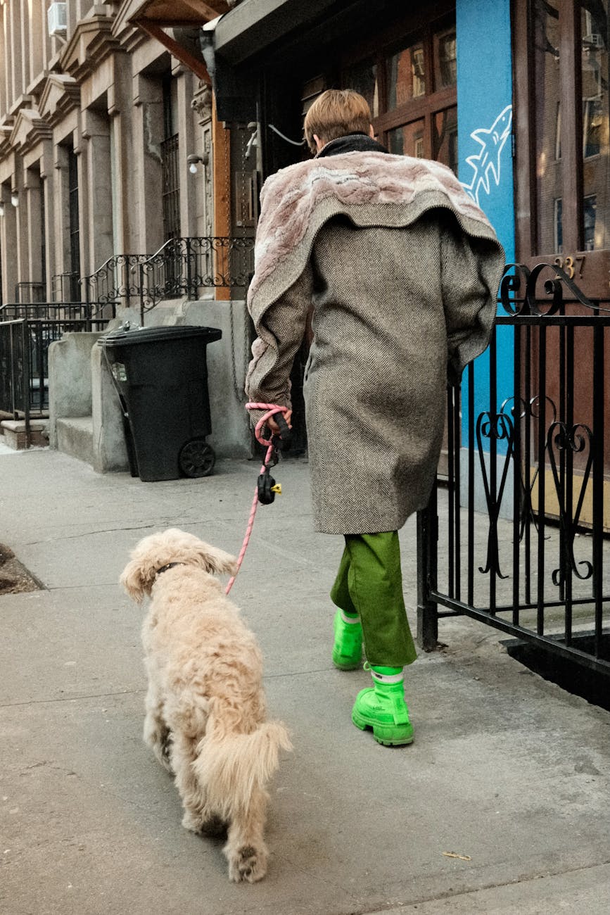 Stylish dog walker in NYC