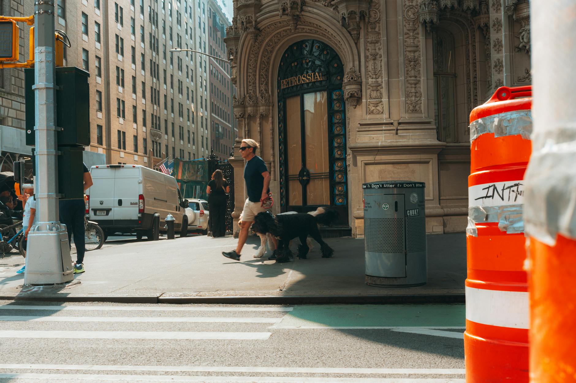 Urban dog walker in city setting